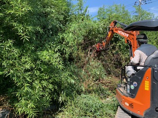 画像:伐採伐根工事